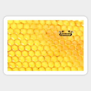 CHitin Bee / Swiss Artwork Photography Sticker